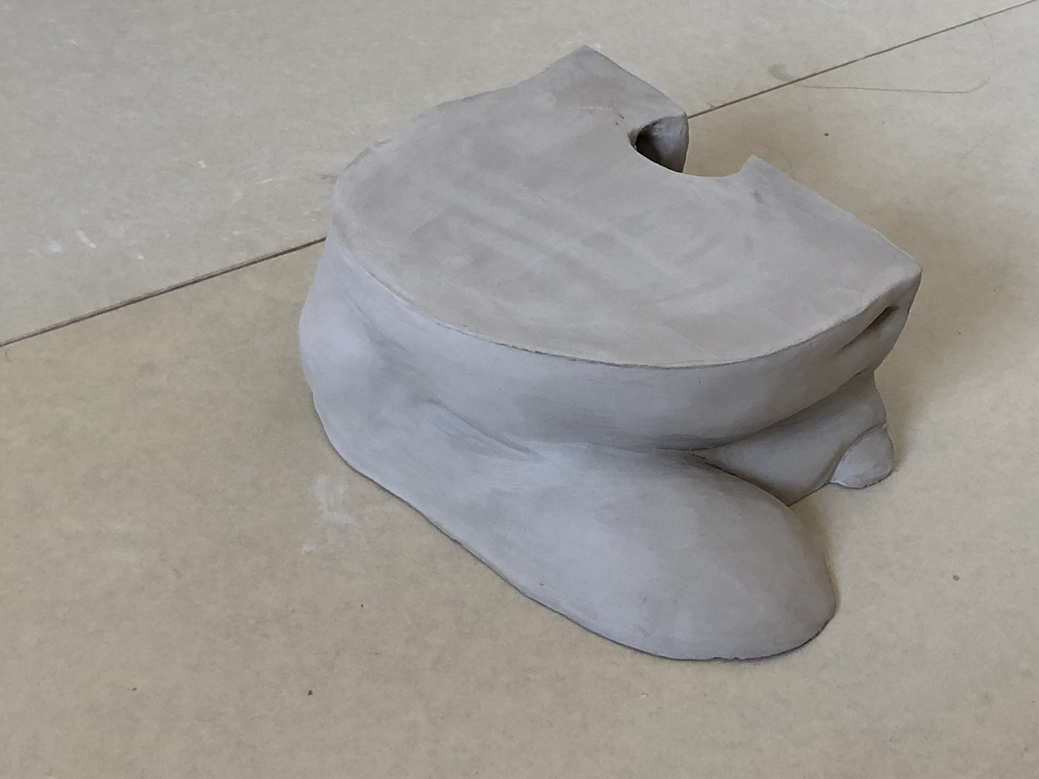 Iliac_5