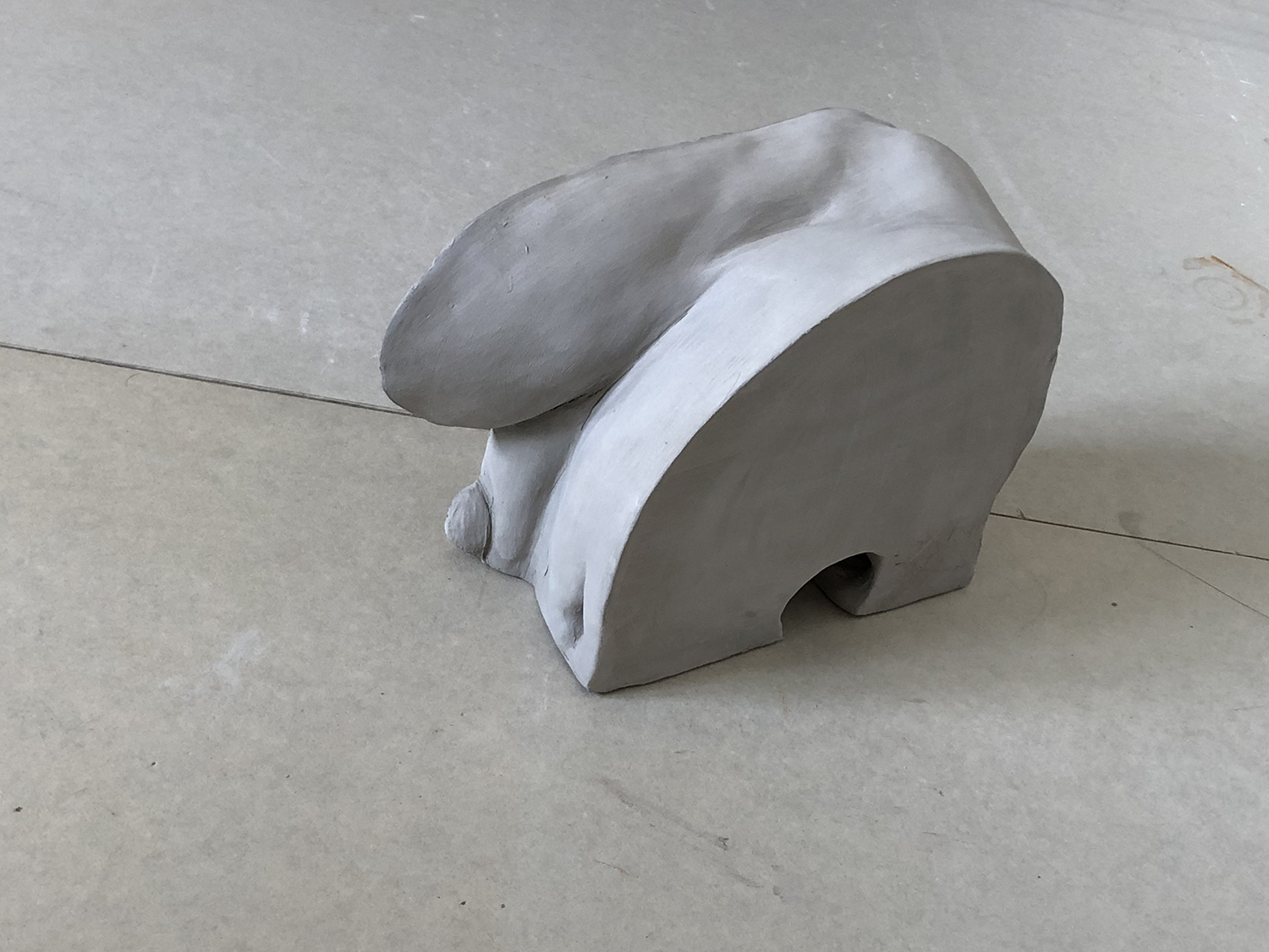 Iliac_6